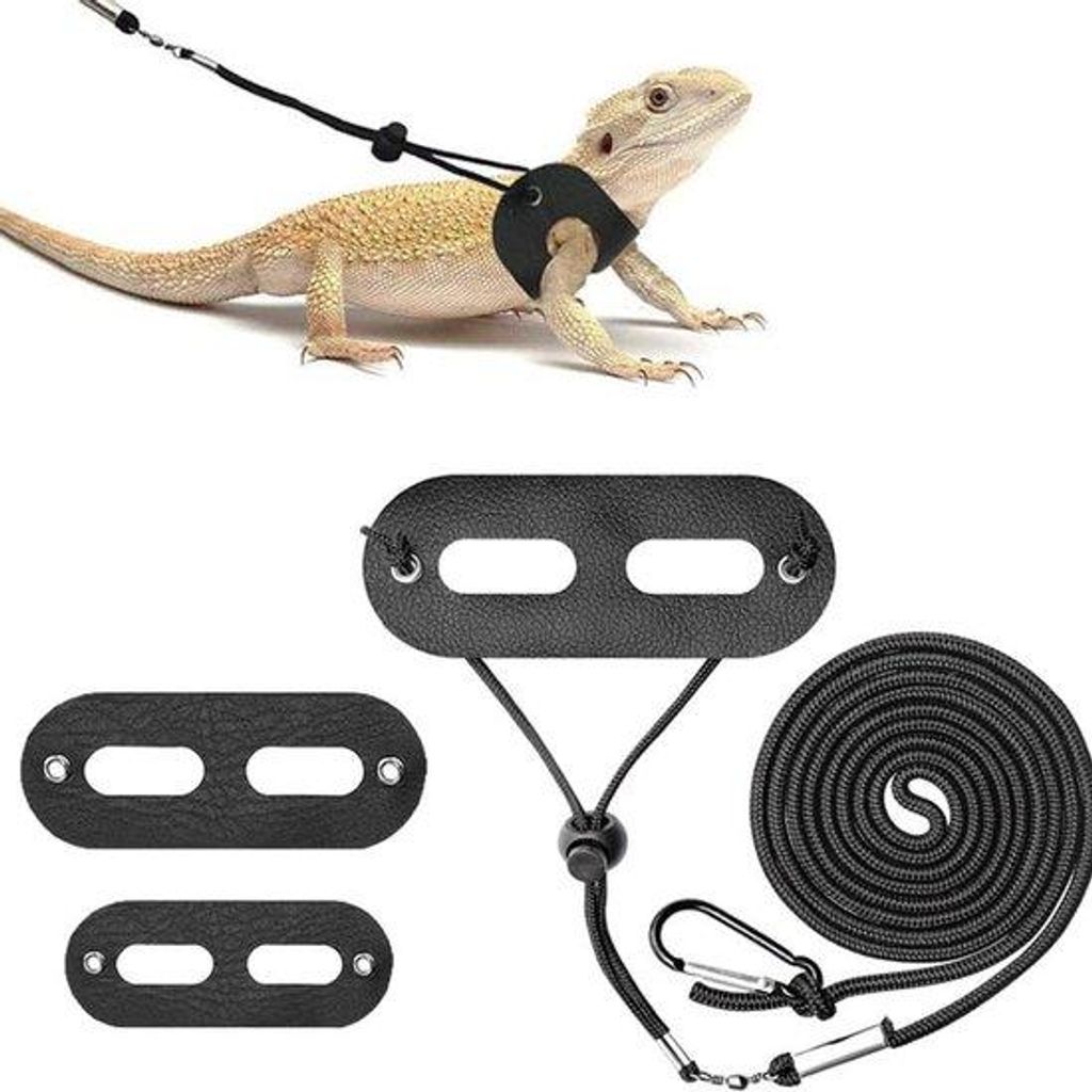 Reptilienharnas - Verstelbaar Lederhalsband für Reptilien - 3er Set in S, M, L - weiches Leder - für Leguane und kleine Haustiere