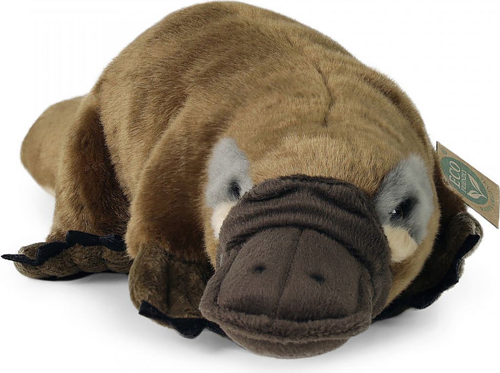 Uccello di peluche 30 cm ECO-FRIENDLY Immagine del prodotto 