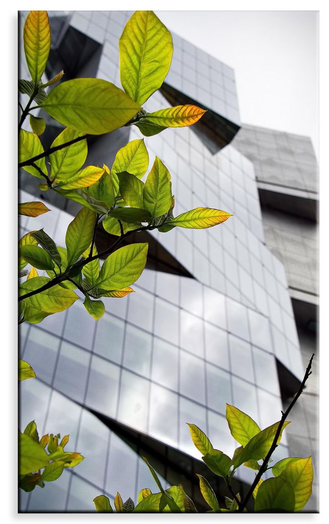 Leinwanddruck Architektur Modernes Gebäude 60x100 cm