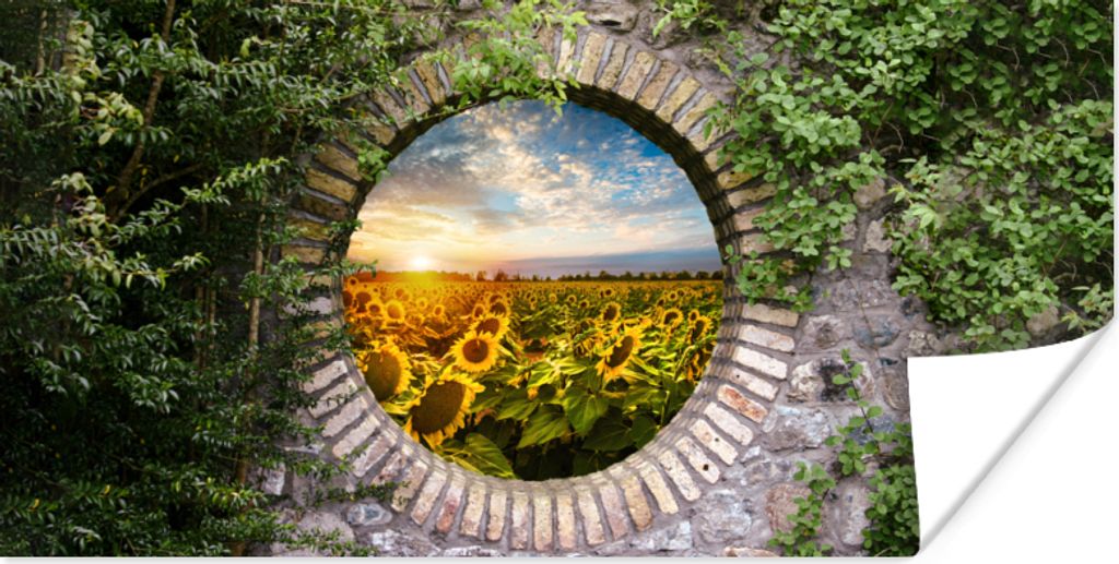 MuchoWow Poster Sonnenblumen - Ansicht - Blumen - Sonne 120x60 cm - Bild
