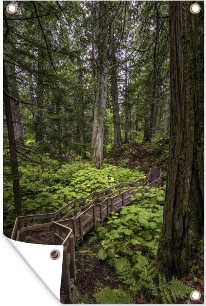 MuchoWow 60x90 cm Outdoor-Poster Gartendeko Sichtschutz Garten Poster für den Garten Eine Holztreppe in den kanadischen Wäldern des Mount Reve...