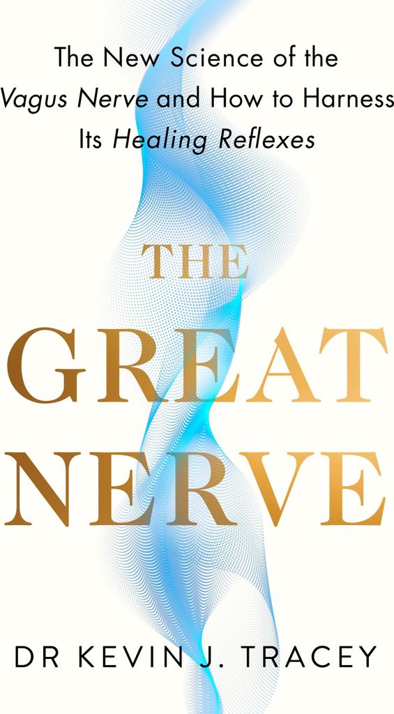 The Great Nerve
