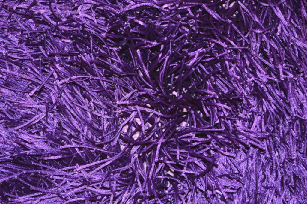 Tapis Shaggy Roma violet 120x180 cm - Moelleux et design contemporain