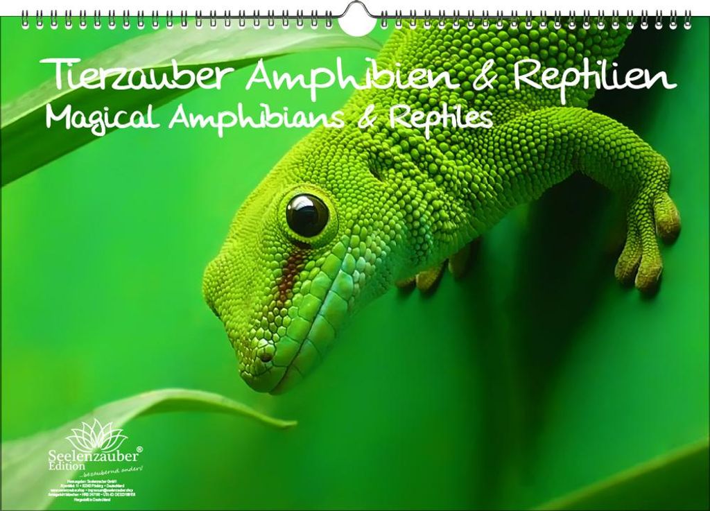 Tierzauber Amphibien und Reptilien DIN A3 Immerwährender Kalender - Seelenzauber