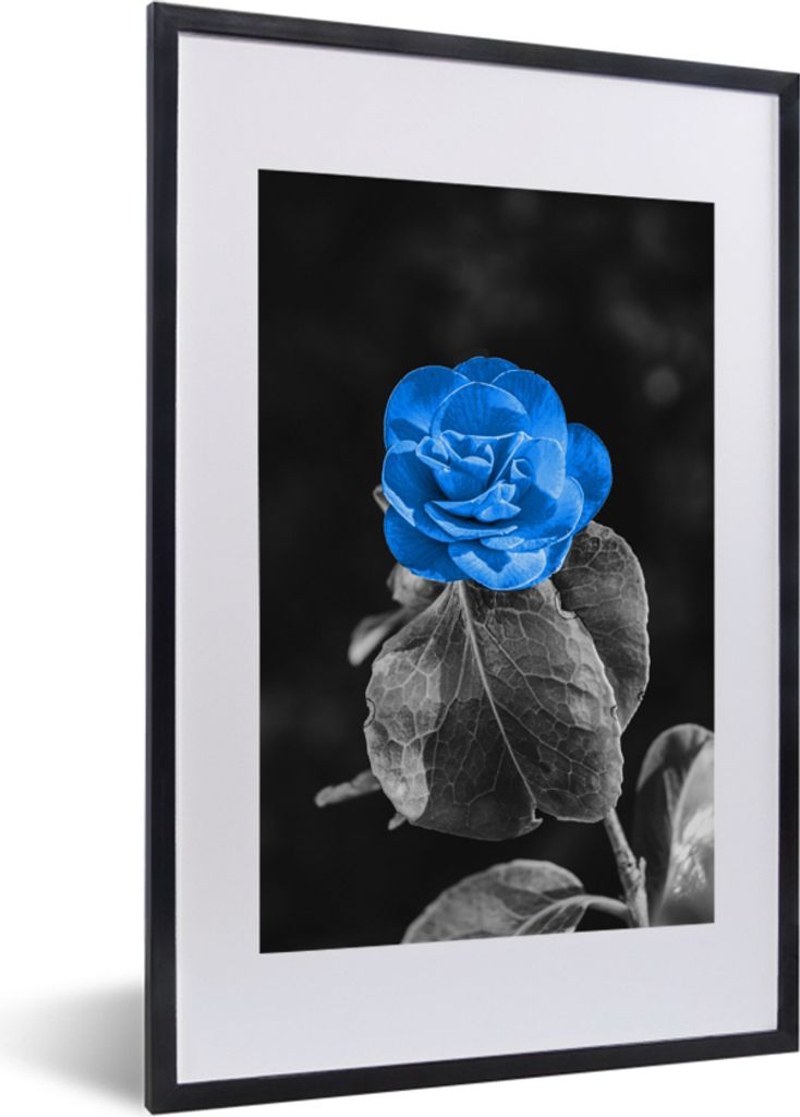 MuchoWow MuchoWow Gerahmtes Poster Blumen - Rose - Schwarz - Weiß - Blau 40x60 cm - Poster mit zchwarzem Bilderrahmen - Poster in Rahmen