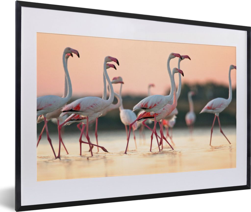 MuchoWow MuchoWow Gerahmtes Poster Gruppe von Flamingos bei Sonnenuntergang in Italien 60x40 cm - Poster mit zchwarzem Bilderrahmen - Schlafzim...