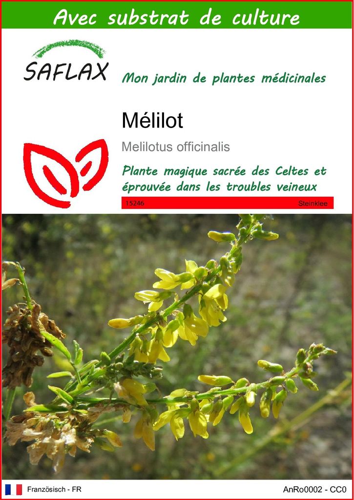 SAFLAX  - Mélilot - 250 graines - Avec substrat - Melilotus Image du produit 