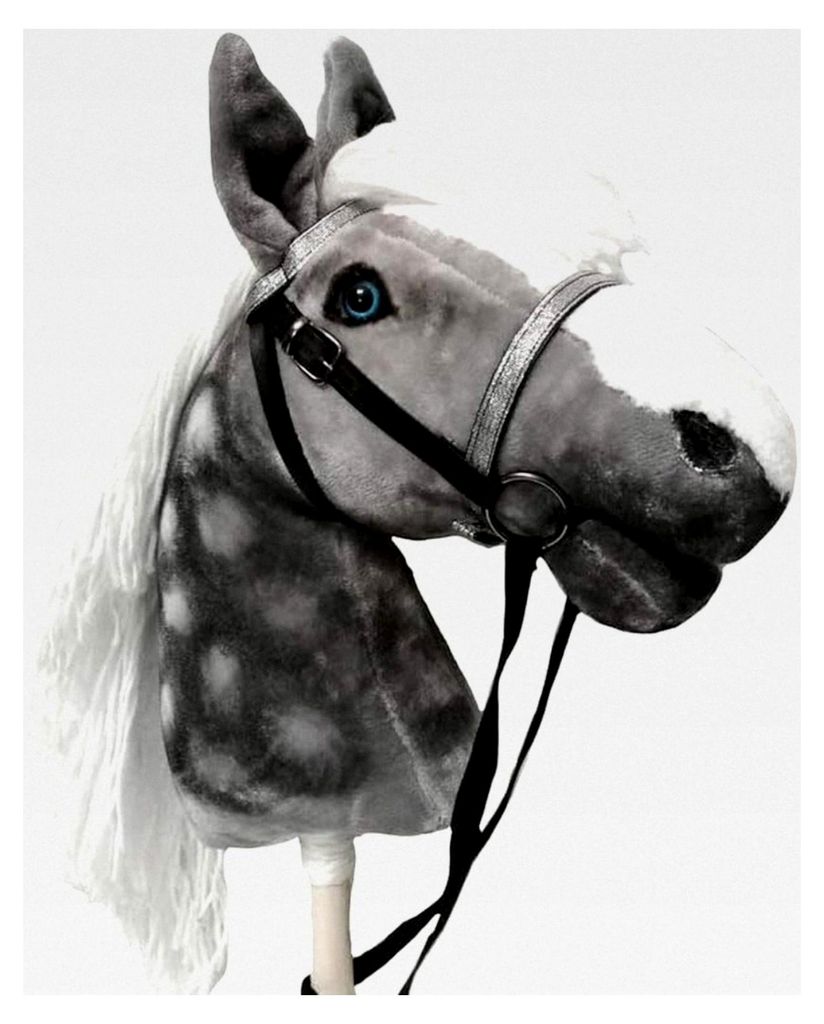 Steckenpferd Apfelschimmel A3 | Großes Steckenpferd | Abnehmbares Zaumzeug & Lange Mähne | Steckenpferde mit Zubehör