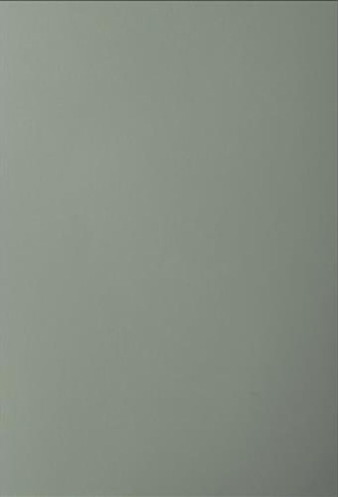 Einbanddeckel Buisness, DIN A4, 350 g/m², grau