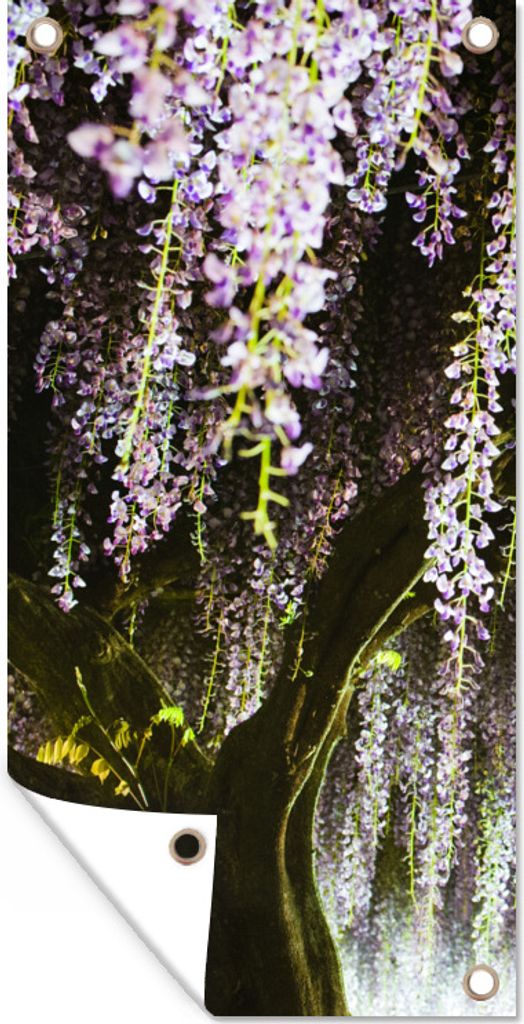 MuchoWow 30x60 cm Outdoor-Poster Gartendeko Sichtschutz Garten Poster für den Garten Japanische Glyzinie