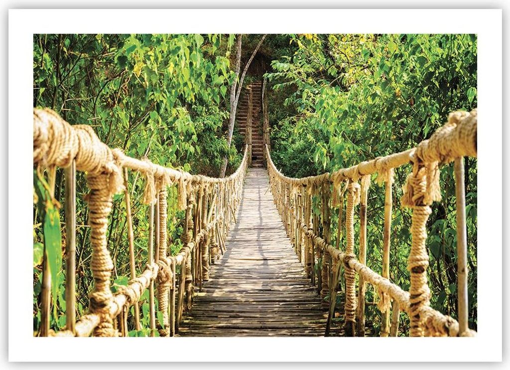 Poster - Poster ohne Rahmen - Brücke Seil Dschungel - 70x50 cm - Wand Bild - Wanddeko - Wandbilder - Kunstposter - Wandposter - Bilder - Kunstdruc...