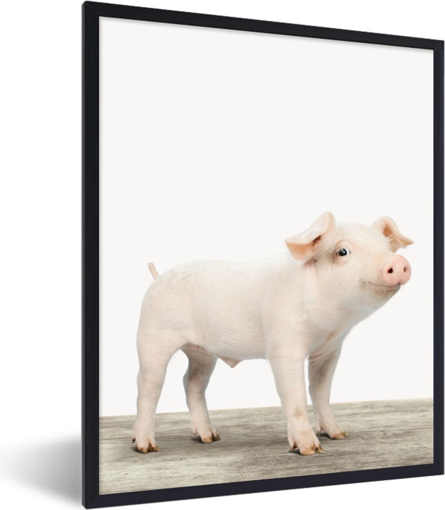 MuchoWow Gerahmtes Poster Ferkel - Groß - Tiere - Rosa - Jungen - Mädchen - Kinder 60x80 cm - Poster mit Schwarzem Bilderrahmen Wandposter Rahm...