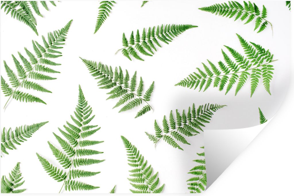 MuchoWow Wandtattoo Wandsticker Wandaufkleber Tropisch - Farn - Grün 60x40 cm Selbstklebend und Repositionierbar - Wierderverwendbar - Selbstkle...