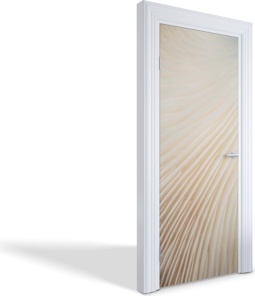 Türfolien Design Selbstklebende Wandsticker Türtapeten - Pilzkiemen - 85 x 205 cm