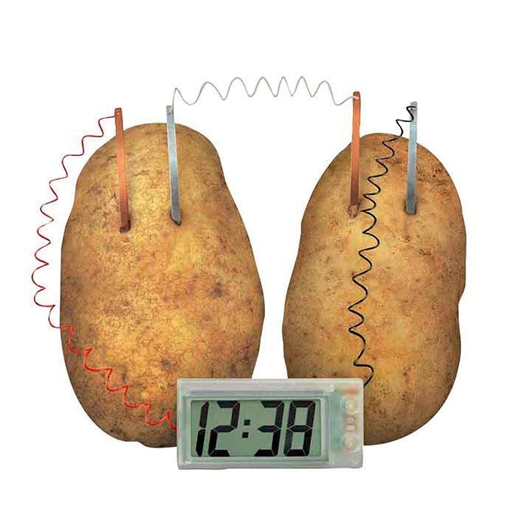 4M Kidzlabs GREEN SCIENCE: Kartoffeluhr / f r a n s t a l i g h Verpackung
