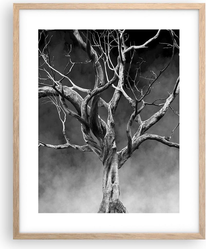 Gerahmtes Poster - Rahmen in heller Eiche - Schwarzweiß Äste Rauch - 40x50 cm - Wand Bild - Wanddeko - Wandbilder - Wandposter - Bilderrahmen - B...