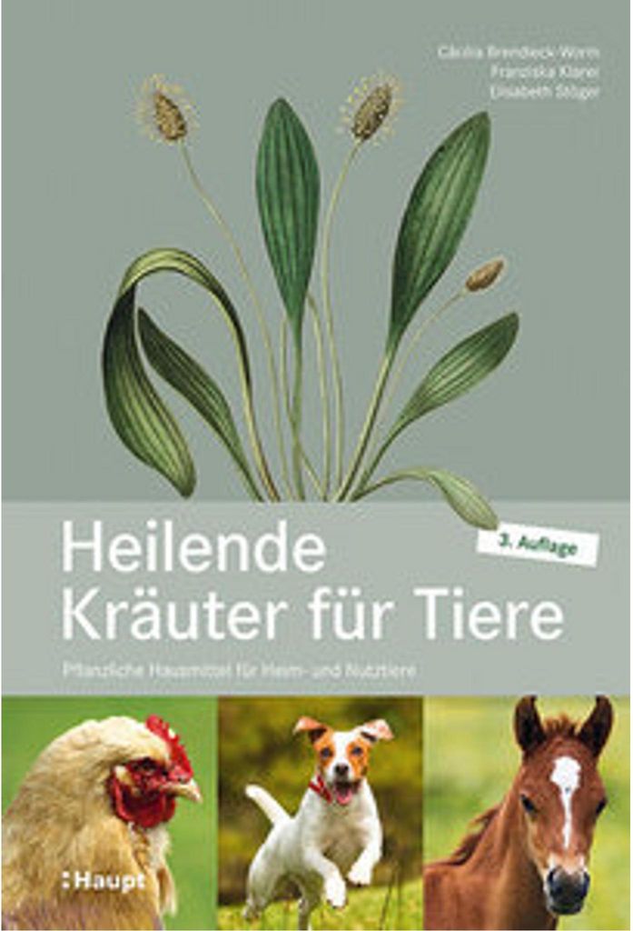 Heilende Kräuter für Tiere