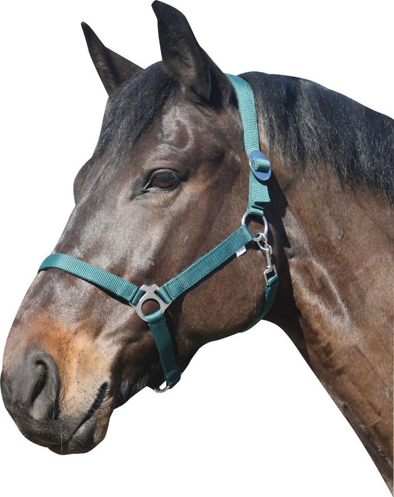 ELDORADO Pferde-Halfter Standard - grün - Warmblut