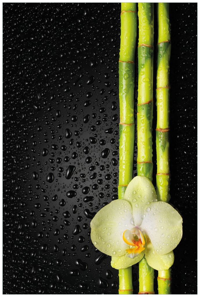Wallario Wandbild aus Acryl, 90 x 60 cm, freischwebende Produktbild 