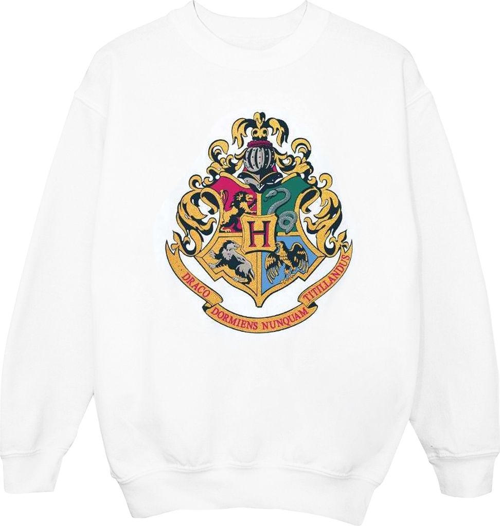 Harry Potter - "Hogwarts" Sweatshirt für Jungen BI19907 (152-158) (Weiß)