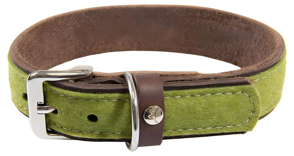 Das Lederband Hundehalsband Norden Lime/Mocca, Länge: 75 cm / Breite: 40 mm