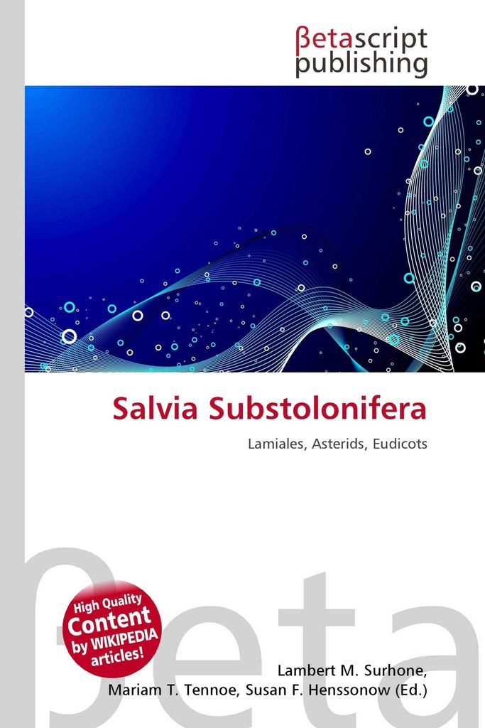 Salvia Substolonifera