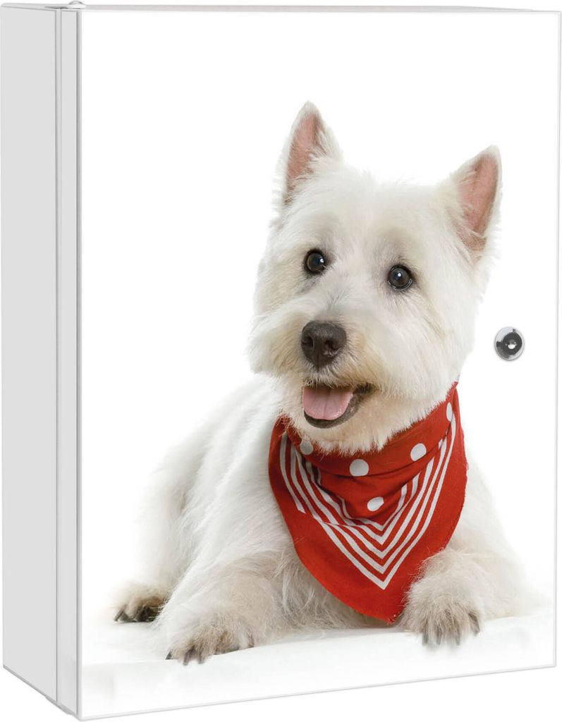 XXL Medizinschrank abschließbar Stahl weiß Arzneischrank Westie Medikamentenschrank 35x46x15cm, Beklebung komplett [BS1 10192]