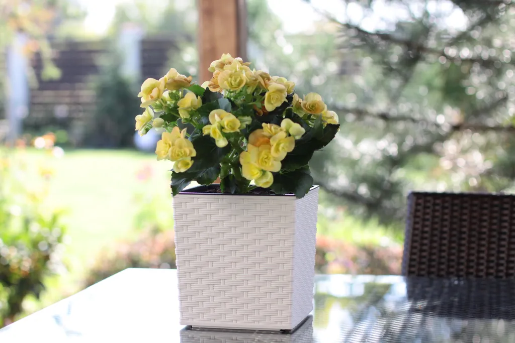 Housse de pot de fleurs JUKA RATTAN 40x40x41cm Nohel Garden en plastique