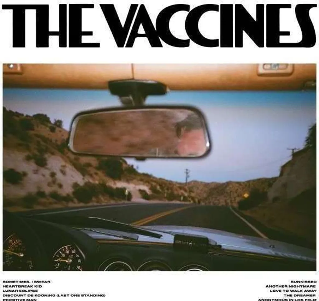 Les Vaccines Pick-Up Full Of Pink Carnations Vinyle Rose Bébé LP Neuf