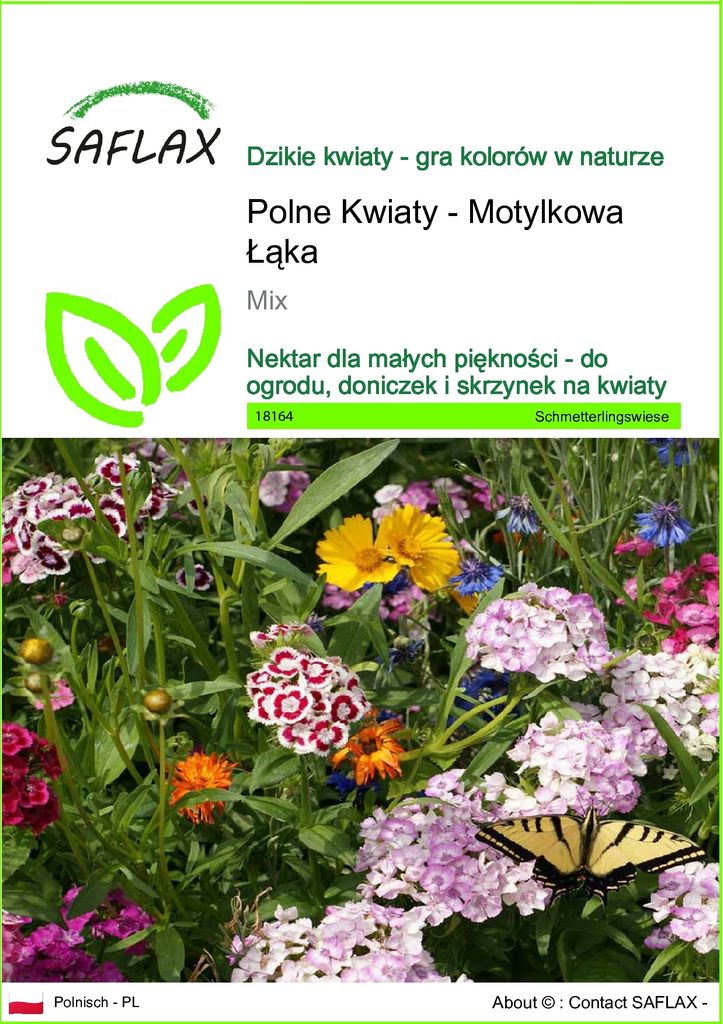 SAFLAX - Polne Kwiaty - Motylkowa Łąka - 1000 Nasiona - Mix Zdjęcie produktu 