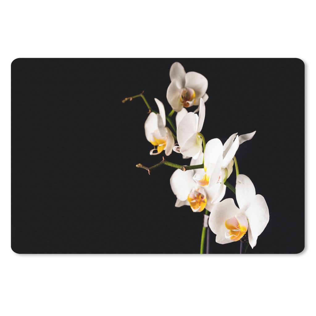 MuchoWow Mauspad Mousepad Orchidee - Blumen - Pflanzen - Botanisch 27x18 cm - Mousepads - Maus Mat - Pad - Mausunterlage - Büroartikel - Desk Ma...