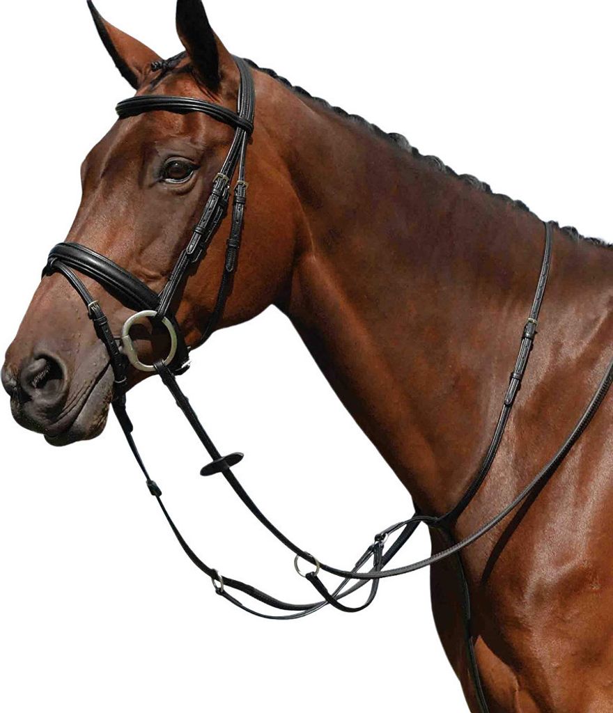 Collegiate - Ringmartingal "Syntovia+", Unifarben WB1427 (Full) (Schwarz)