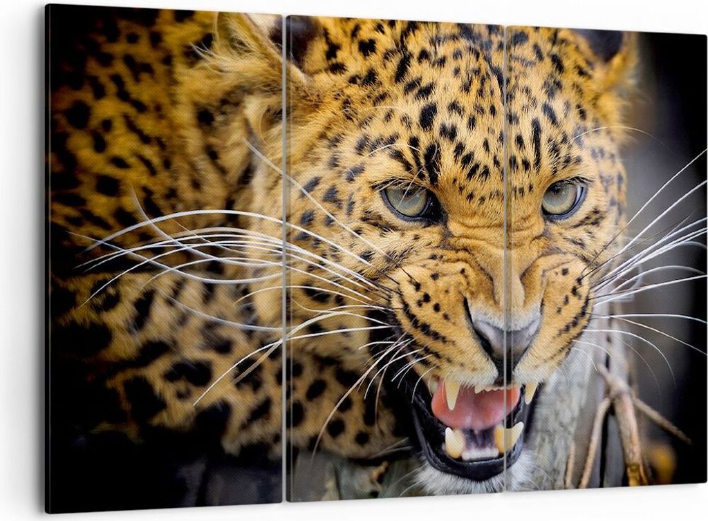 Bild auf Leinwand - Leinwandbild - Leopard tier savanne Produktbild 