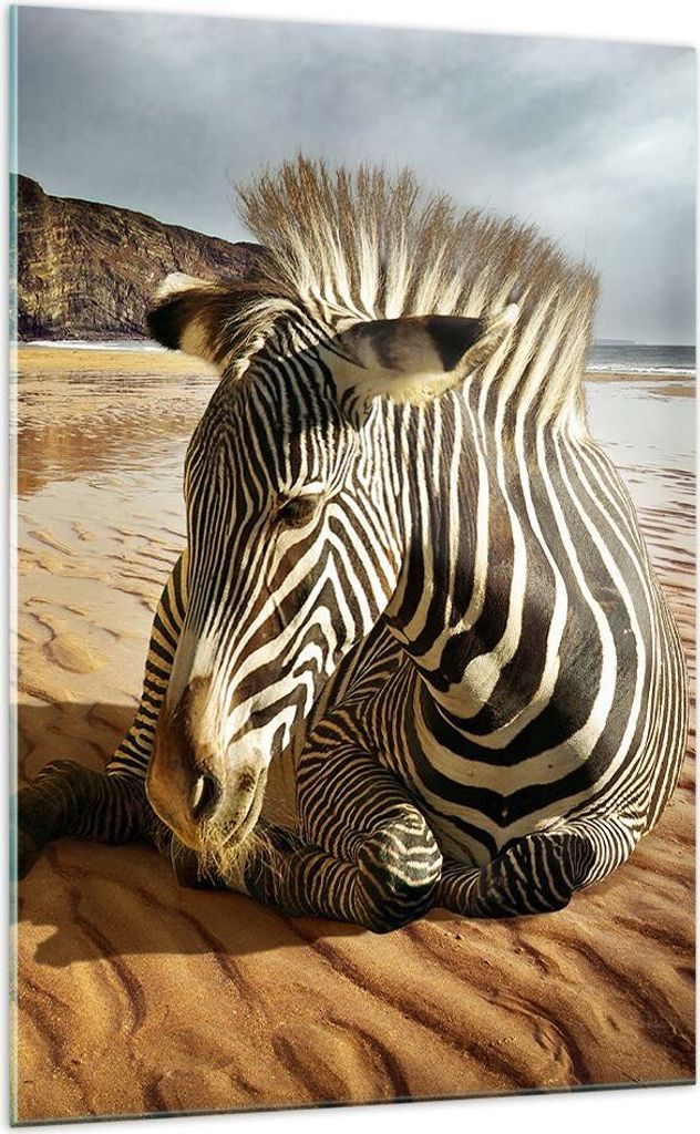 Bilder auf glas - Einteilig - Zebra Strand Landschaft - 70x100cm - Glasbilder - Wandbilder - Bilder - zum Aufhängen bereit - Wanddekoration aus Gl...
