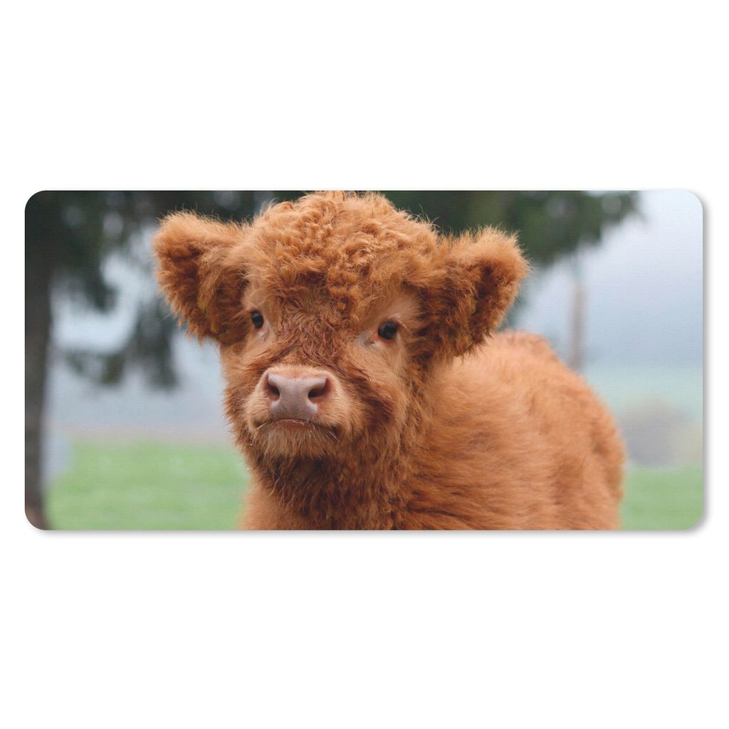 MuchoWow Schreibtischunterlage Scottish Highlander - Kalb - Gras 80x40 cm - XXL Mauspad - Gaming Mauspad