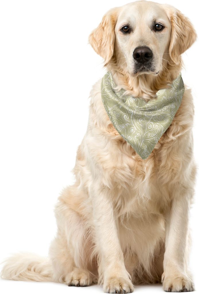 ABAKUHAUS Jahrgang Haustier Bandana, Antike wirbelt Kurven, 40x40 cm, beige Weiß