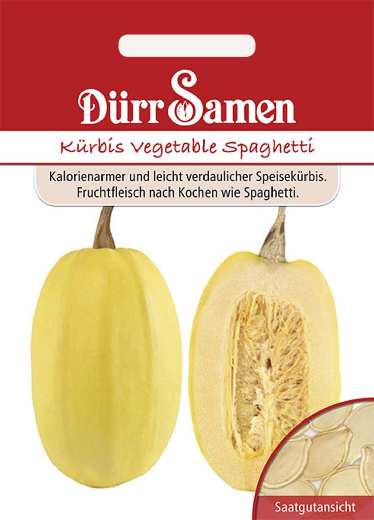 Dürr-Samen - Spaghetti-Kürbis Vegetable Spaghetti - Saatgut Produktbild 
