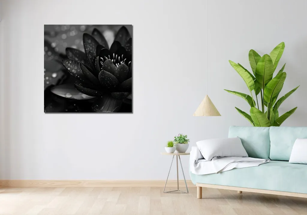 Recensione Quadro 90x90cm Loto Nero - Materiali e Resa Estetica - 2