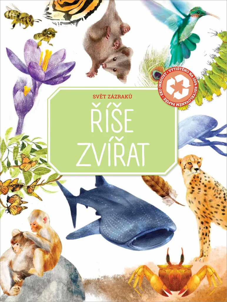 Livre Illustré Le Monde des Animaux - Encyclopédie Artistique Enfants