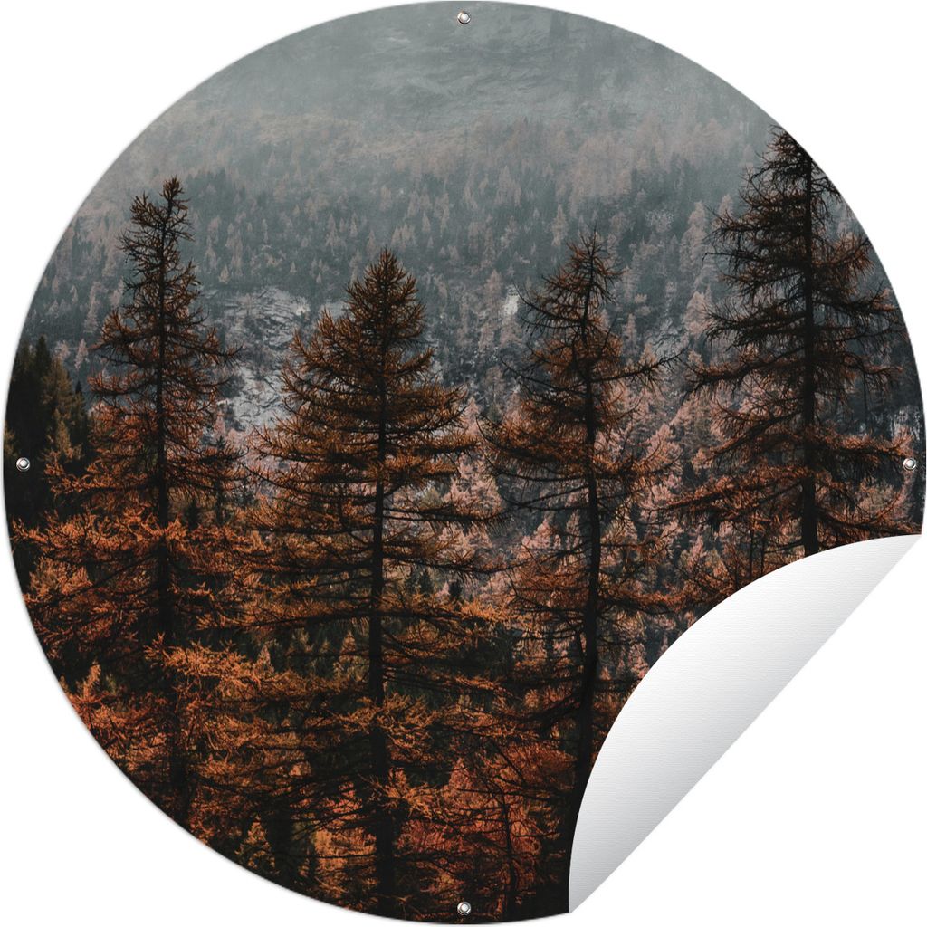 MuchoWow Gartenposter Outdoor-Poster Rund Bäume - Nebel - Winter Ø 90 cm Gartendeko Rundes Poster draußen