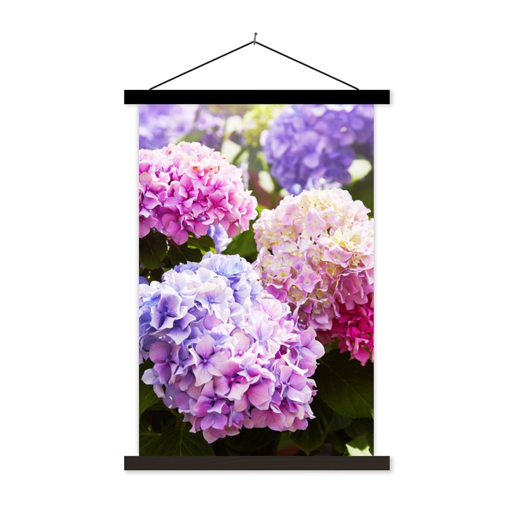 MuchoWow Textilposter Blumen - Hortensie - Rosa - Blätter - Sonne 40x60 cm mit schwarzem Rahmen - Wanddekorationen