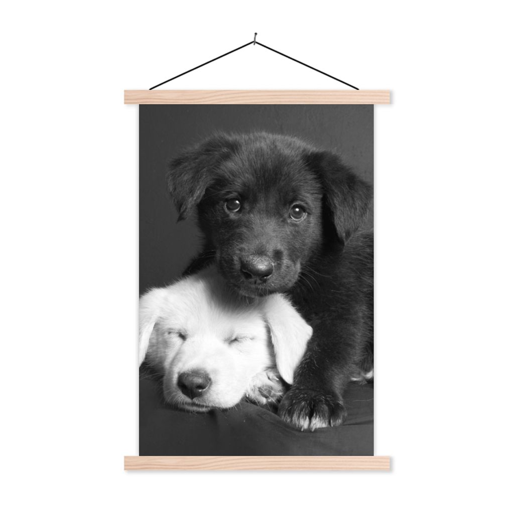 MuchoWow Textilposter Hunde - Welpe - Schwarz - Weiß - Tiere 60x90 cm mit holzfarbenen Rahmen - Textil