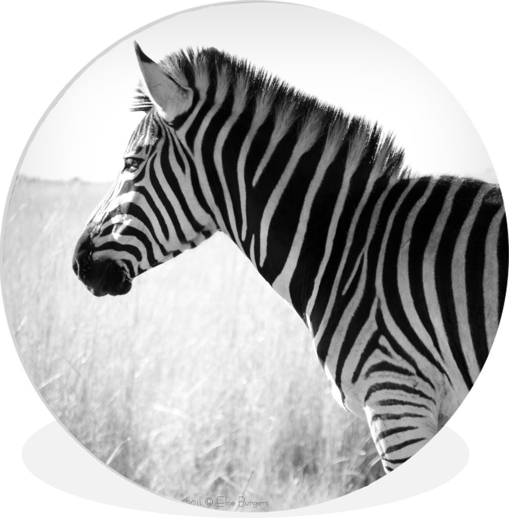 MuchoWow - Wand-Kreis - Wohnzimmer - Bild - Runde - Wanddeko - Dibond - Kunstdrucke