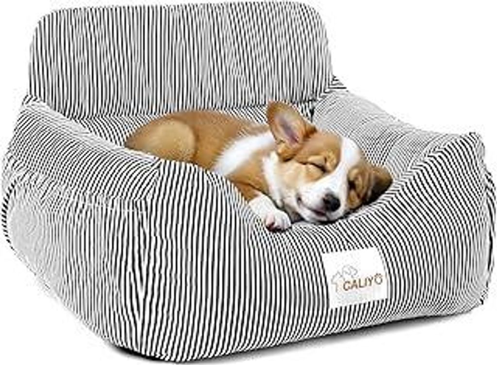 CALIYO Hundeautositz mit Stabiler Basis & Sicherheitsgurt | Hundesitz Auto für Kleine bis 10 kg | Memory Foam-Sitzauflage | Wasserdichter, Abwasch...