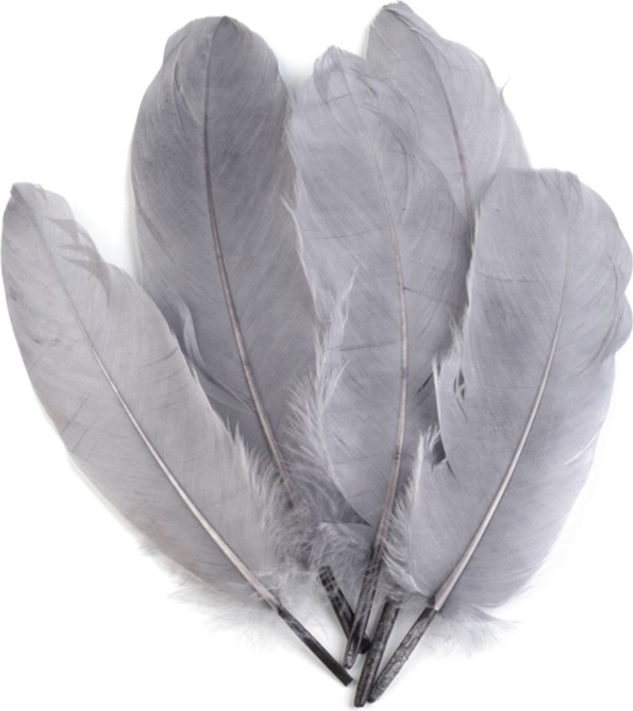20 Entenfedern 15-21cm Bastelfedern Federn Dekofedern f. Hüte Kostüme Basteln