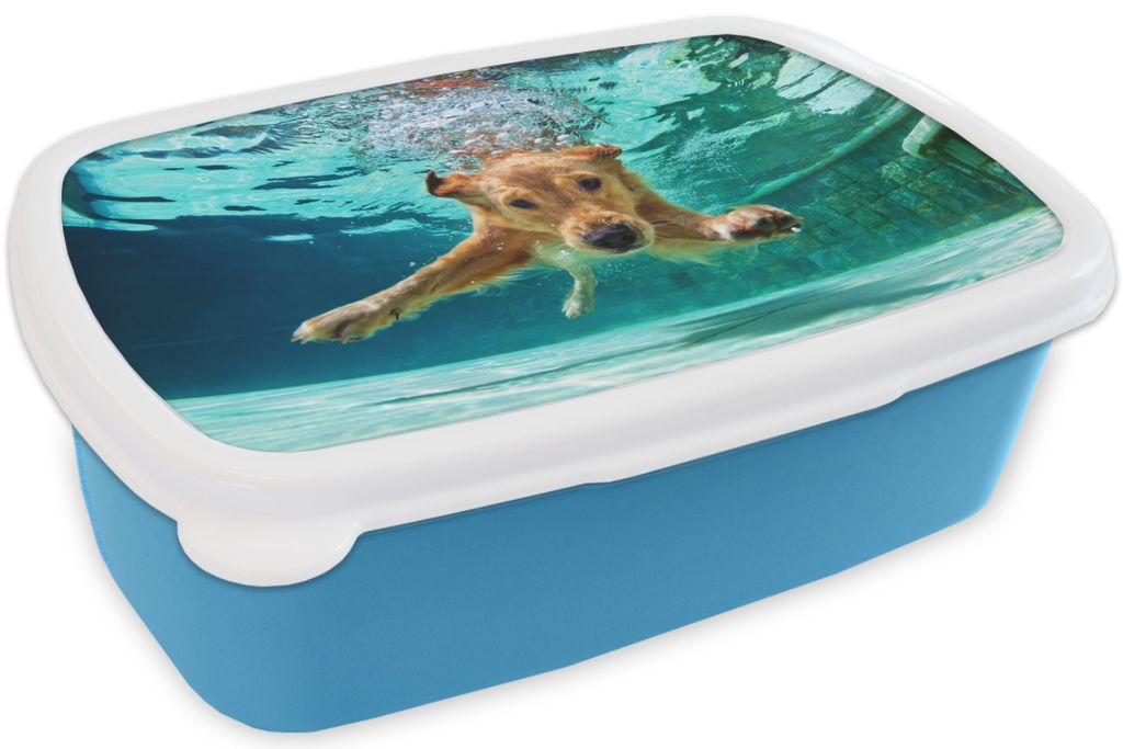 KitchenYeah Lunchbox Brotzeit Brotdose 17x11 cm Pool - Hund - Wasser Kinder Brotzeitdose - Lunch - Kunststoff - Brotbüchse - Sandwichbox - Lunc...