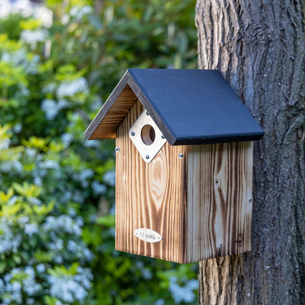 CJ Wildlife Nistkasten - 32 mm Einflugloch -Holz Produktbild 