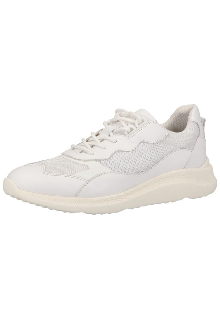 Geox Sneaker Sneaker Leder/Textil