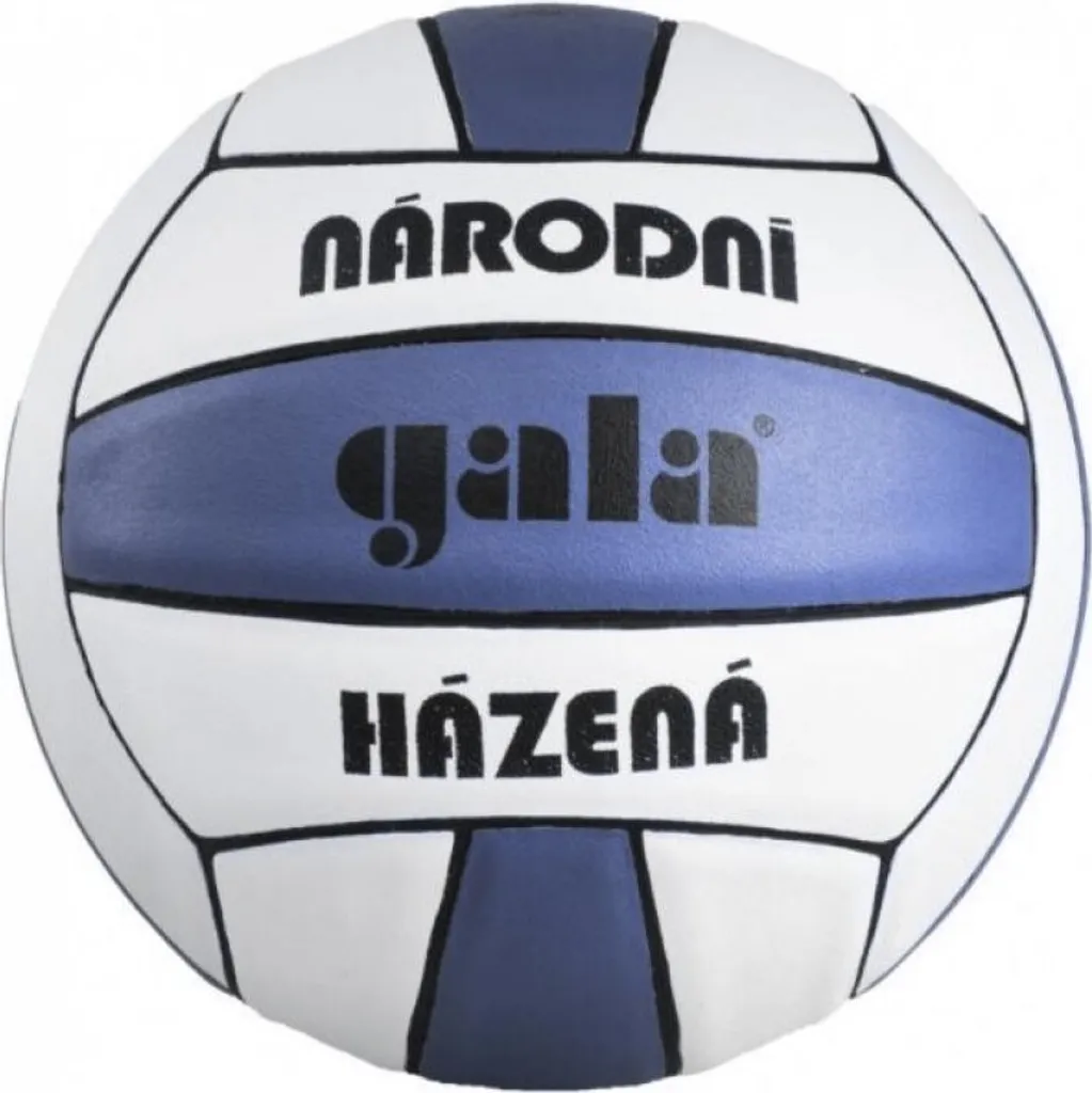 Ballon de Handball GALA pour Entraînement et Match National - Modèle Blanc