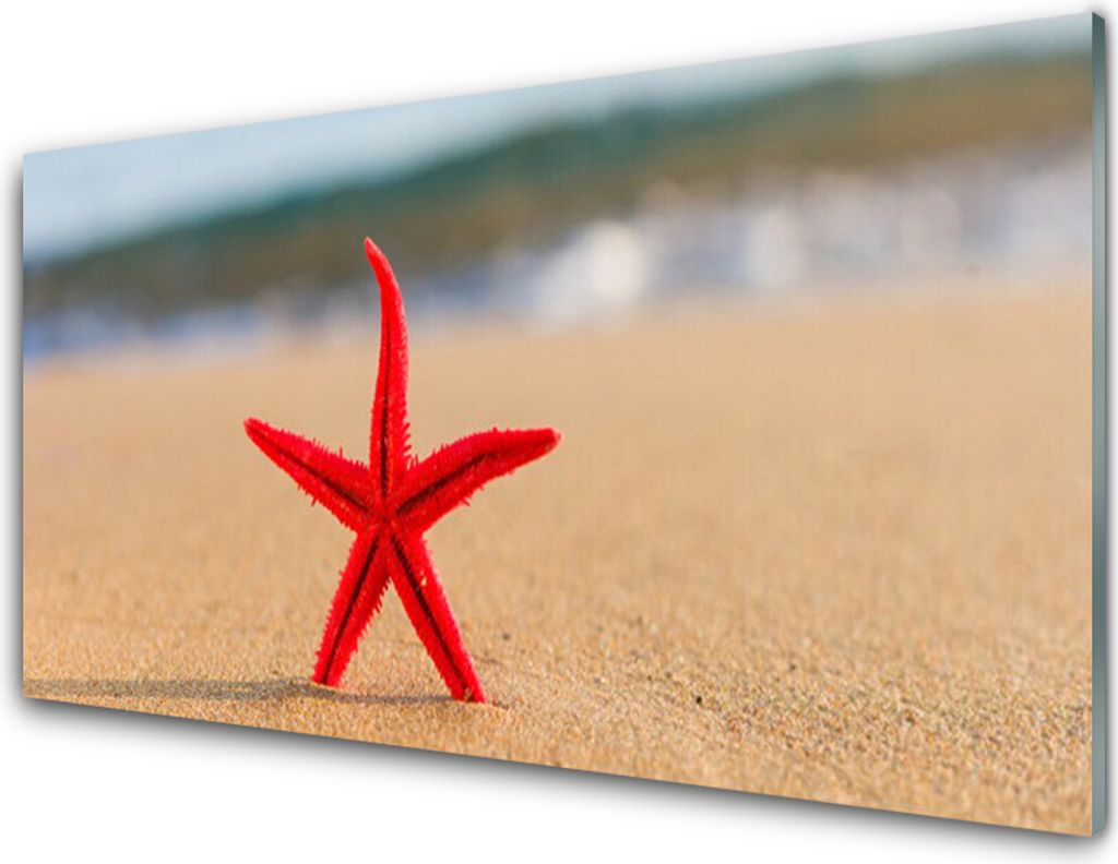 Küchenrückwand aus Glas 100x50cm Spritzschutz Strand Seestern Kunst